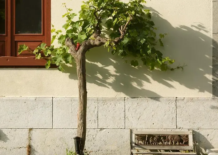 Itsaso レケイティオ